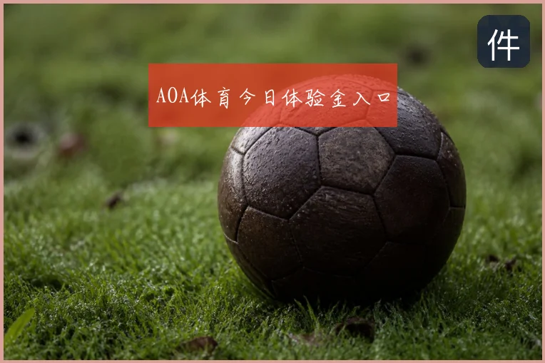 AOA体育今日体验金入口